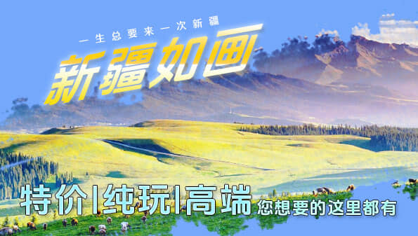 �½�����