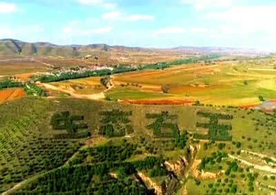 ������ѧϰ������