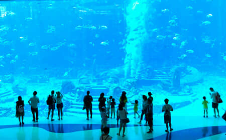 ������|̫ԭ������˫��6����|����������˹ˮ����