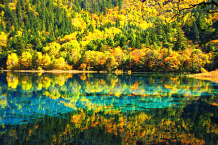 �������կ����կ���������������߻���è��԰˫��/˫��6����