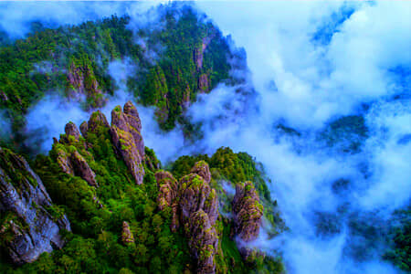 ��ʩ������ũ��-��ʩ+��ũ��˫��6����