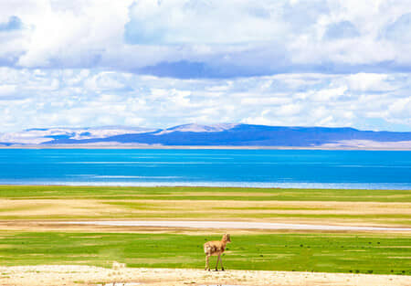 ��ҹ����³�ز�����̫ԭ������˫��11��/�Է�9��