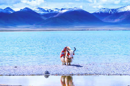 ��ȼ�����ء���������֥��5A���ɴ�羰����5A��³�ز�����Ͽ�ȡ�����ʪ�ع�԰�����������һ������������״塢5A����������5A������(���ڣ��������֡������������¡���׿Ӻ�루��װ���ģ�˫��11��/�Է�9��