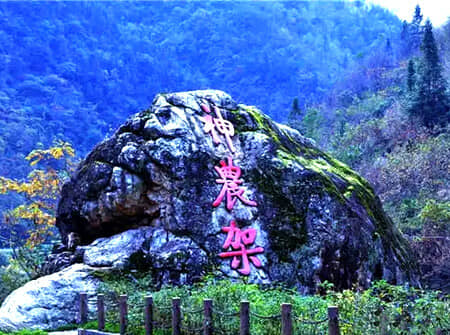 ��Խ����������Ͽ-�ʼ��������δ����人�˲���Ͽ�����Զ�7����