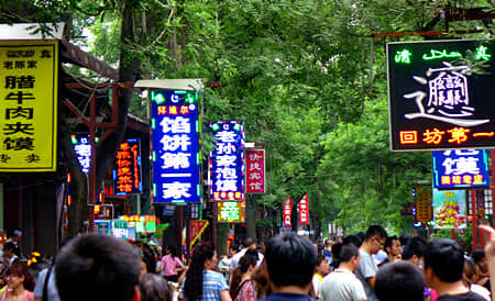 ��������-��������/���ڰ�����˫��������