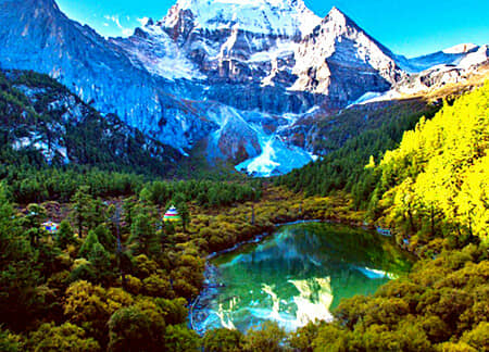 ���鴿���ǡ����š���������������īʯ�������������Ƕ�˫��/˫��7����