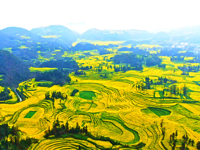 ����Ʒ�ᶫ�ϡ�̫ԭ��������ƽ���հ������ߺ�����Ԫ����ˮ���ɺ�˫�ɰ�����/ʮ����