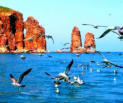 �����γ���������/����/����/˫������