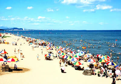 �����ӿ񻶼������غ�+�ϴ���˫��4����