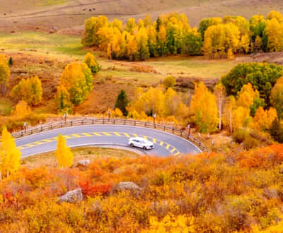 ��������Ե��̫ԭ���½�����˫��8����/˫��ʮ���Σ�����˹��+����ľ����