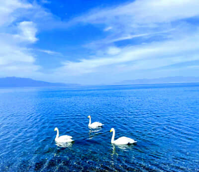 ���桾�Ͻ��� ��������̫ԭ/��³ľ��/����˹/����̨/��ľ/���̲/���⹫·/�����ض�������/���������/��ɳ��/��ʲ�ų�/�а����깫·/������/����ɽ/��ɽ������˫��12��/˫��14����