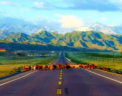 ������❤����˹��̫ԭ/��³ľ��/�ɿ��к�/����˹����/��ľ��/���̲/��ɽ���/������/��ľ����ɳĮ/������˫��10����/˫��8��