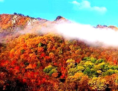 ��ȪӰ�ӳ�+��������+��ʶ�������