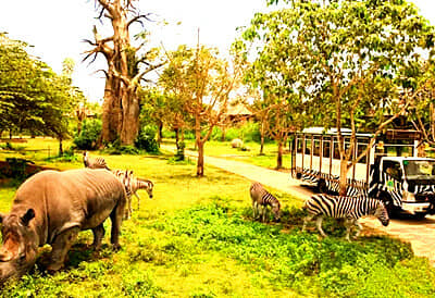 �����������α���̽����˫������/˫������/�Ը�����/����5����