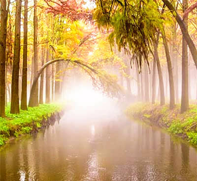 �������ձ������л��Ρ���Ǩ����̩���˻�����˫��/˫������/˫��˫��6����