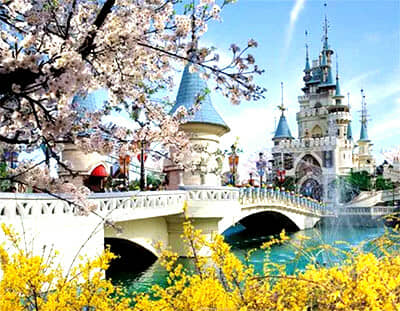 ��ʺ����׶�+����˫��������