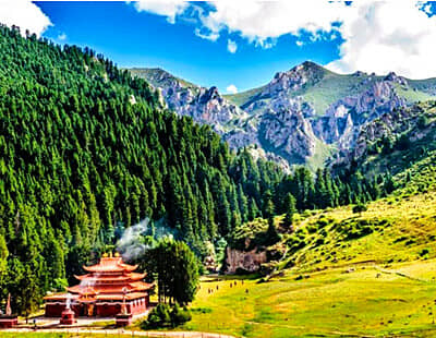 20�㡾�ؾ����ϡ���ˮ/������/��������/�ٶ칵/��ľ��/�����ǻ���/�����ƺӵ�һ��/���ӿڼ��/ɣ�Ʋ�ԭ/��çʪ��6����