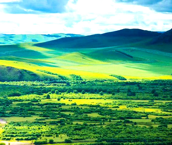 �����̸衪������ʡ����ȫ��˫��16����/˫��14����