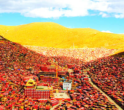 ��ѩ���������ɫ�����Ҷ��ԭ��̬�����ǡ���ԭ���ԭ�������ǲ�ԭ������׿�˻����ƺӵ�һ�塢����㶡�ɣ�Ʋ�ԭ�������ʪ�ء����ӿ���ַ����ľ�¡����ɽ8����