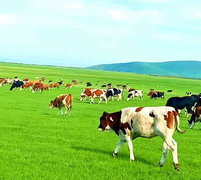 ��ԭ���μ�-̫ԭ�����ֹ��ա�������ͳ��ԫ˫��������