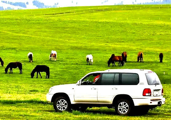 ���Ｃ���ױ�����˫��6����-���ױ������ԭ|���µ�һ��Ī�ո��պ�|186�ʴ���|����С����Τ|������ׯ԰|������|ҹ��������