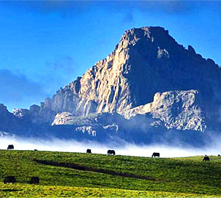 ��ʥ�ظ��ϡ�˫��������