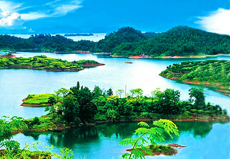 高端之旅-太原到黄山千岛湖婺源高品质双飞6日游