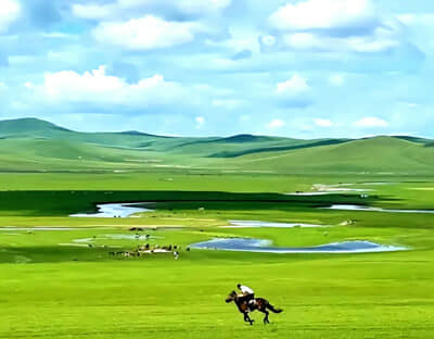 ��ԭ���μ�-̫ԭ�����ֹ��ա�������ͳ��ԫ˫��������