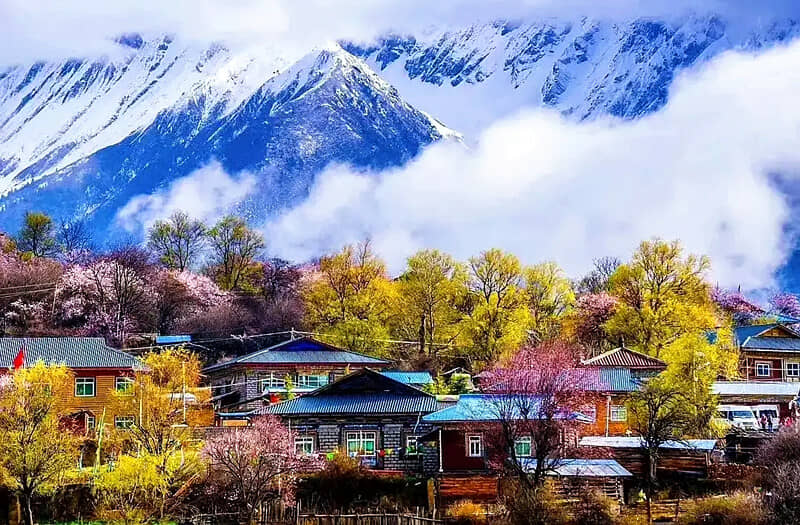 林芝